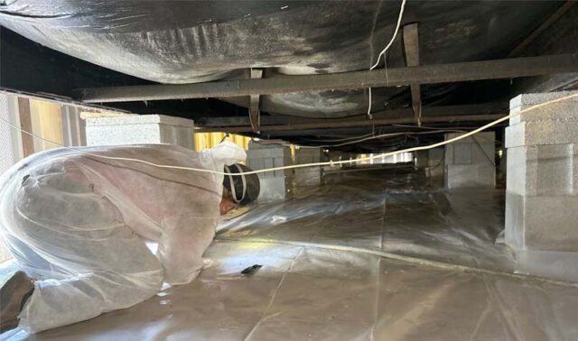 Technician installing crawlspace vapor barrier to control moisture and improve energy efficiency.