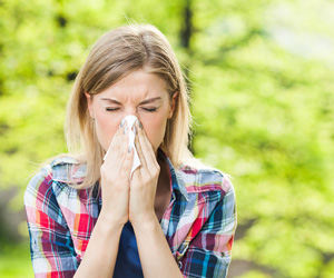 Dreading Allergy Season? Air Seal your Home!