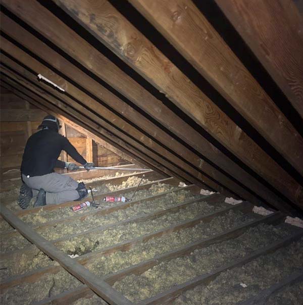 A technician from DeVere Insulation Home Performance crouches in a residential attic to perform air sealing. He is applying sealant to penetration points in the wooden framing amidst existing loose-fill insulation to prevent energy loss.