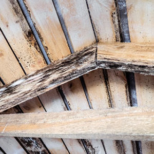 Check Your Attic: Ventilation, Insulation and Mold