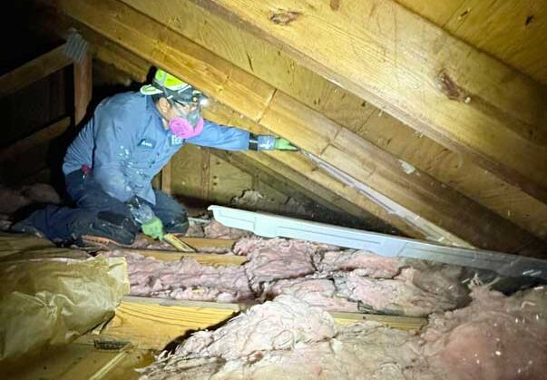 Insulation specialist insulating home's attic ventilation.