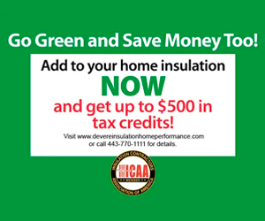 Save up to $500 By Adding Insulation!