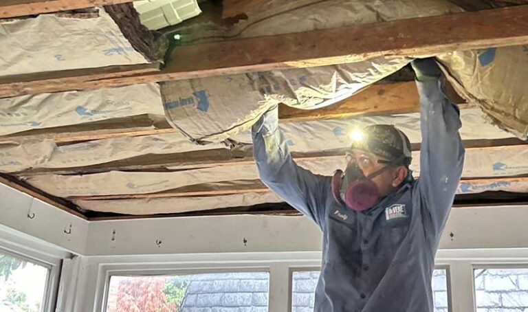 Professional installation of batt insulation to improve home energy efficiency and comfort. Our expert team ensures a perfect fit for your attic, walls, and floors.