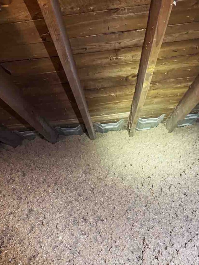 Dense-blown cellulose insulation installed in attic space with visible vent baffles for airflow.