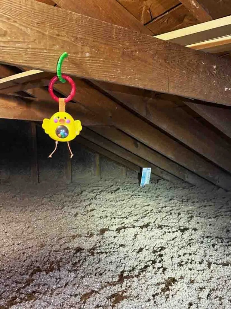 Attic space filled with cellulose insulation under roof rafters, with a yellow baby toy hanging from a wooden beam.