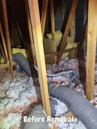 Attic floor clogged with pink and yellow insulation scraps and ducts before removal.