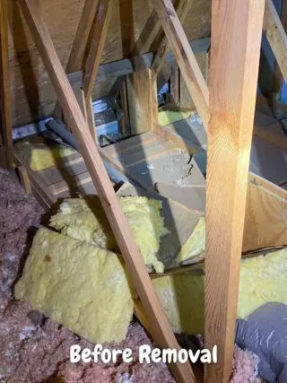 Mixed yellow batts and pink loose insulation on attic floor before removal.