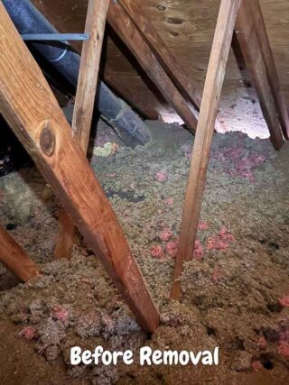 Thick layer of gray cellulose mixed with pink fiberglass in attic before insulation removal.