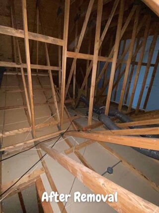Attic space after batt insulation removal, showing exposed wooden framing and ventilation ducts.