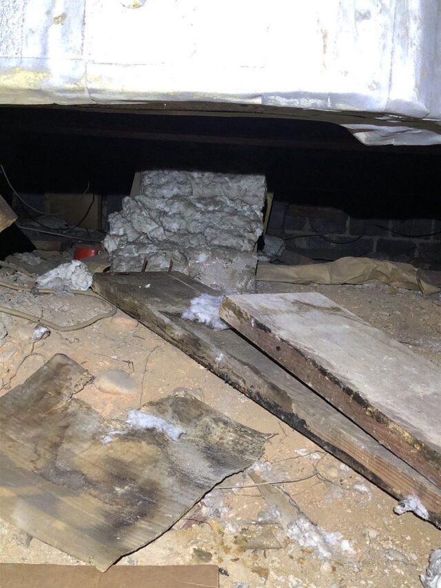 mold in crawl space