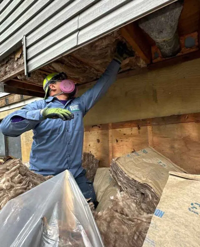 DeVere HP Insulation technician in a hard hat and respirator removing old kraft-faced fiberglass batts from an open cantilever floor in Baltimore, MD.